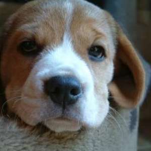 bc478de203ed8419487bffe60082f6e6.jpg
19561
jpg