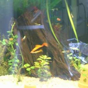 23e739817c5b1c923184a0780014acb7.jpg
28954
jpg